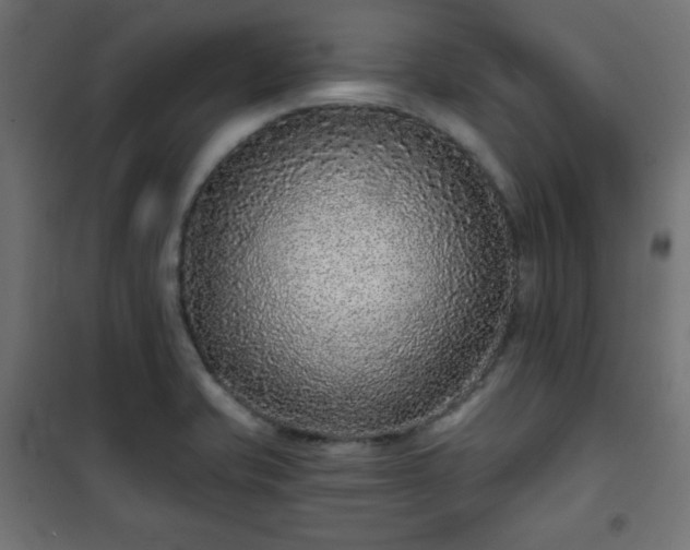 X0000101141421200807071115