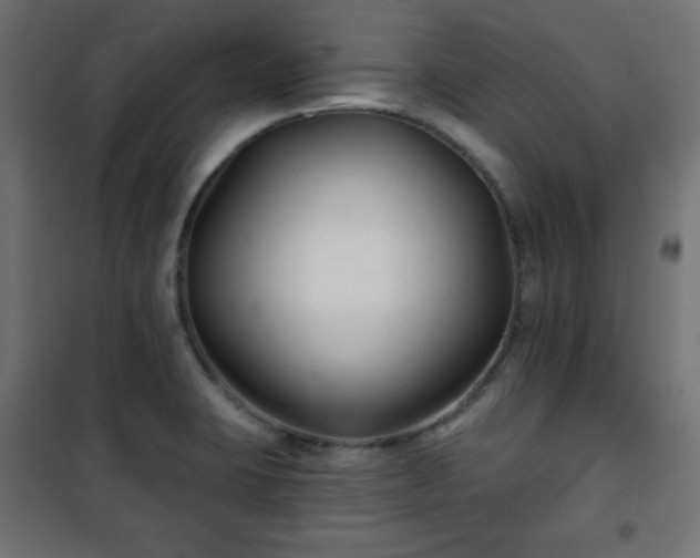 X0000101141423200807071115