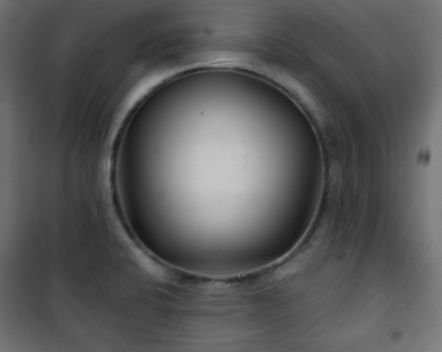 X0000101141424200807071115