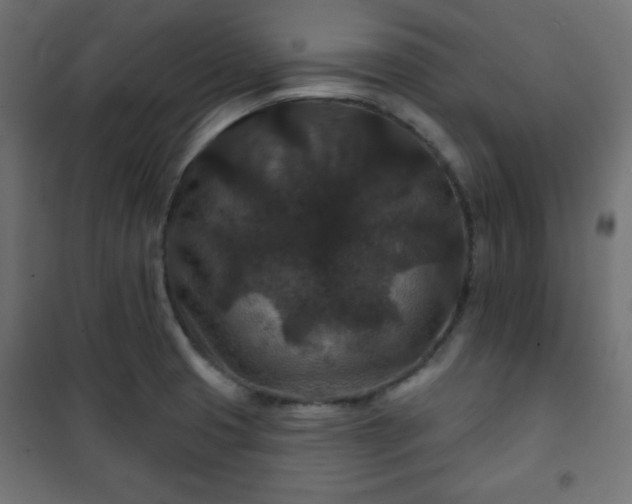 X0000101141425200807071115