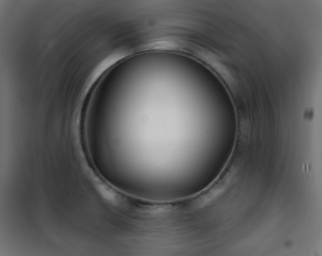 X0000101141426200807071115