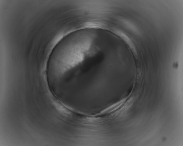 X0000101141427200807071115