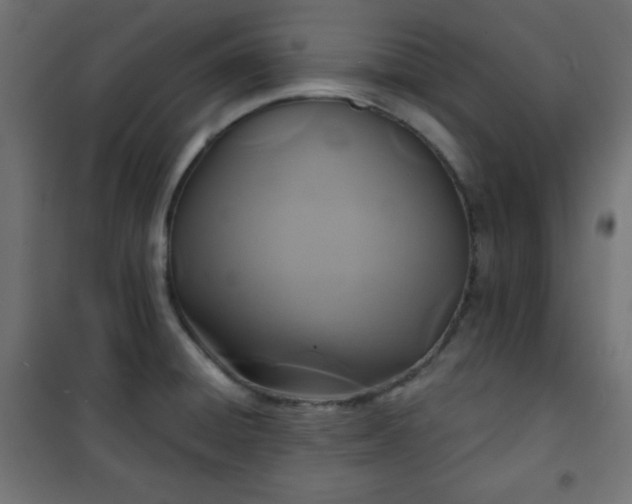 X0000101141428200807071115