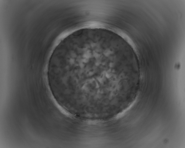 X0000101141429200807071115