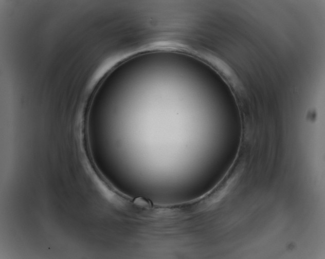 X0000101141430200807071115