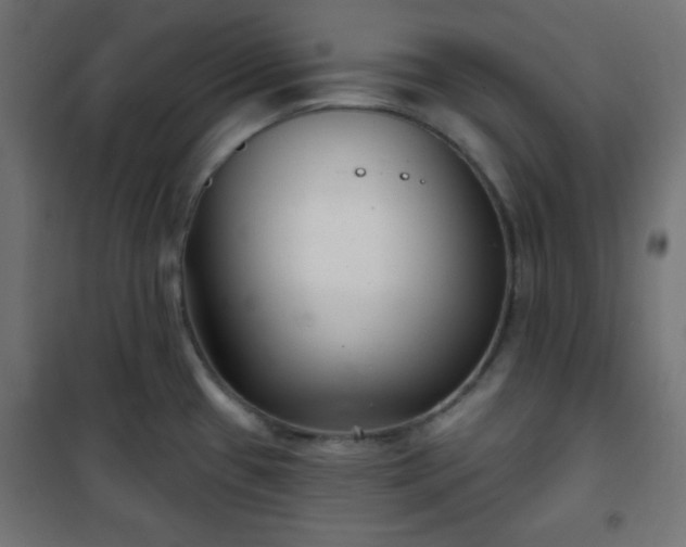 X0000101141433200807071116