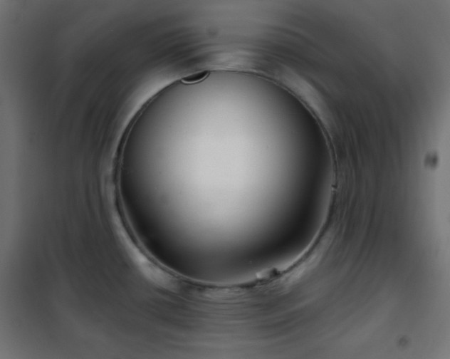 X0000101141434200807071116