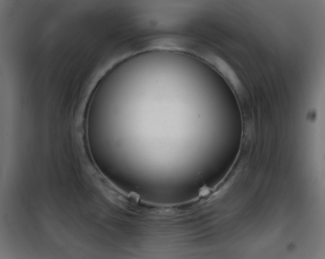 X0000101141435200807071116