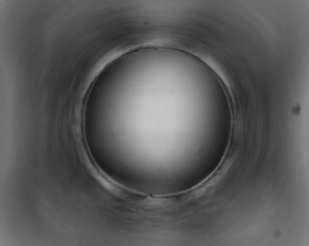 X0000101141437200807071116