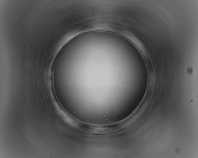 X0000101141439200807071116