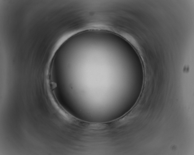 X0000101141440200807071116