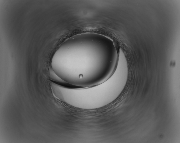 X0000101141441200807071115