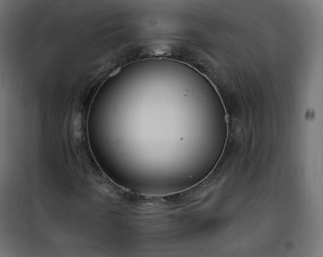 X0000101141442200807071115