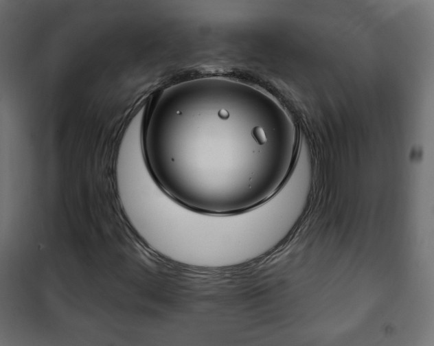 X0000101141444200807071115