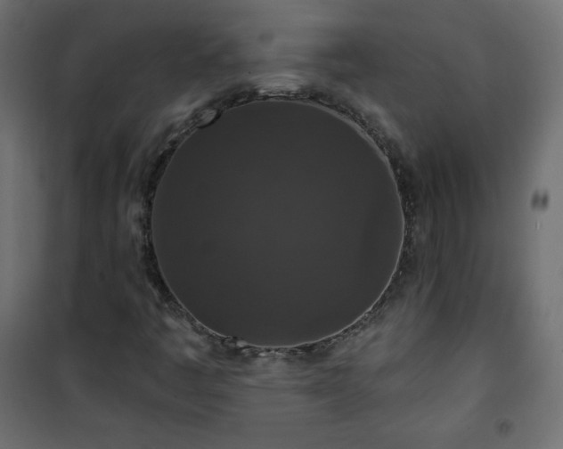 X0000101141445200807071115