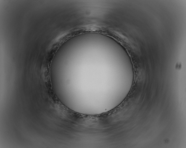 X0000101141446200807071115