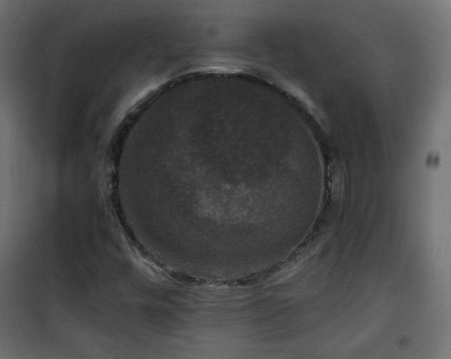 X0000101141448200807071115