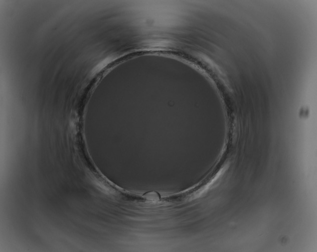 X0000101141449200807071115