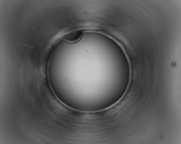 X0000101141451200807071115