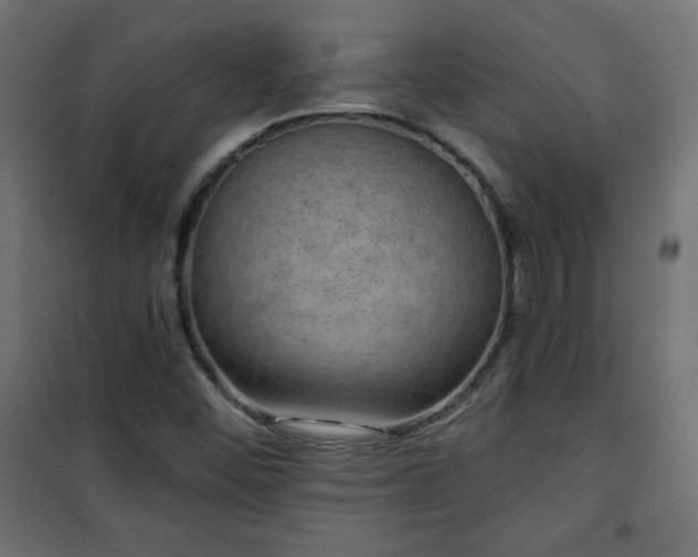 X0000101141452200807071115