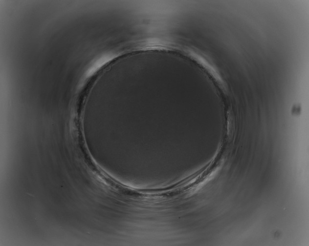 X0000101141453200807071115