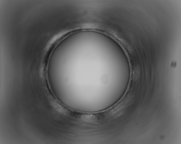 X0000101141454200807071115