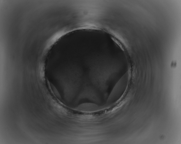 X0000101141455200807071115