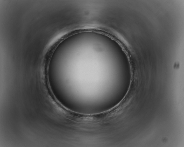 X0000101141456200807071115