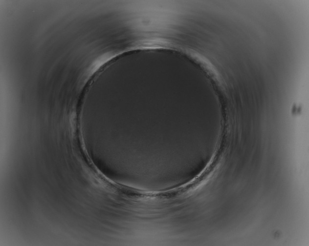 X0000101141457200807071115