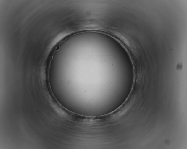 X0000101141458200807071115