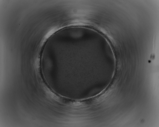 X0000101141459200807071115