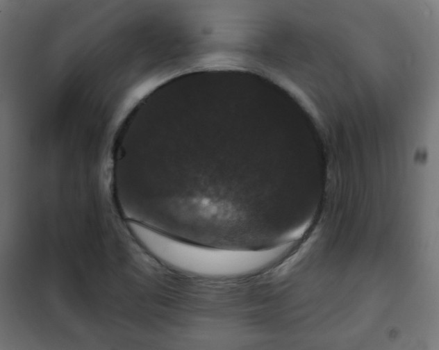 X0000101141461200807071114