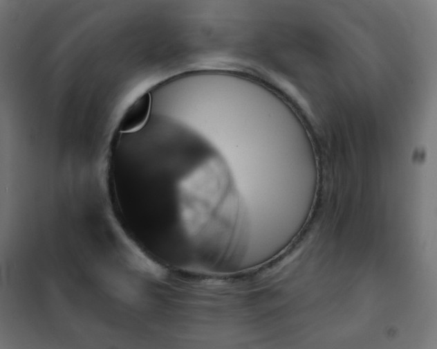 X0000101141463200807071114