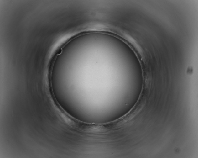 X0000101141464200807071114