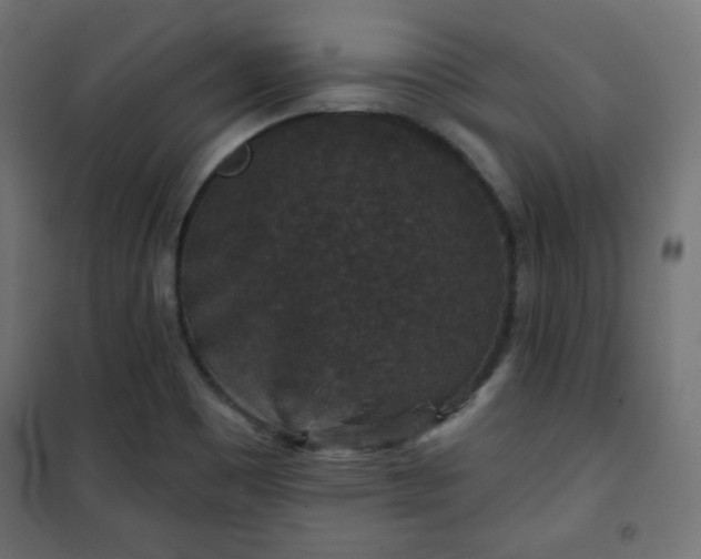 X0000101141465200807071114