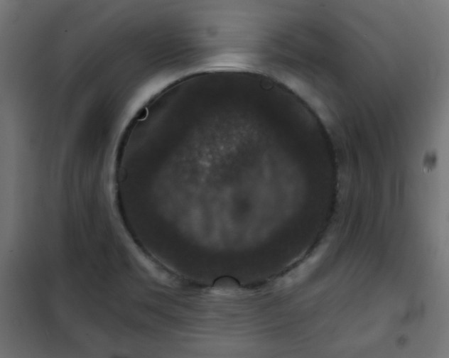 X0000101141469200807071114