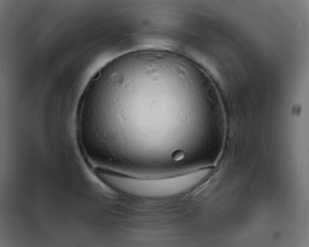 X0000101141471200807071114