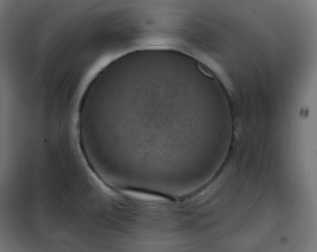 X0000101141472200807071114