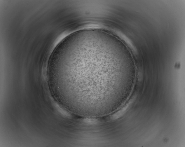 X0000101141473200807071114