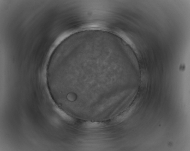 X0000101141474200807071114