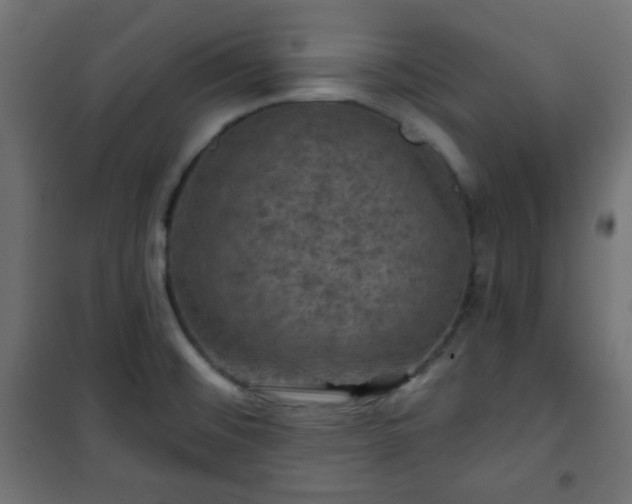 X0000101141476200807071114