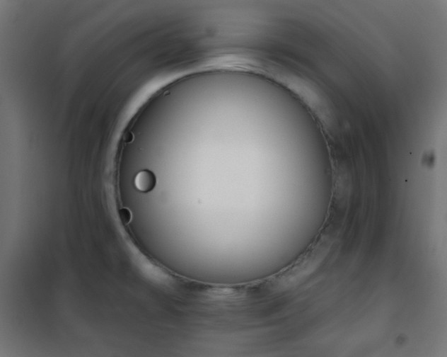 X0000101141478200807071114