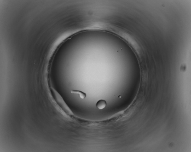 X0000101141480200807071114