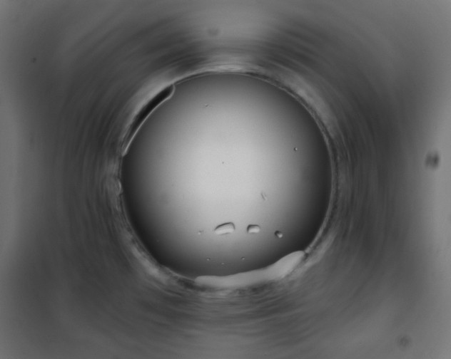 X0000101141481200807071114