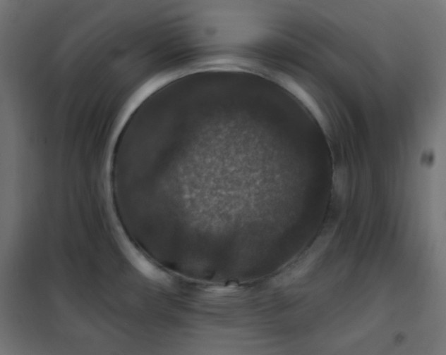 X0000101141482200807071114