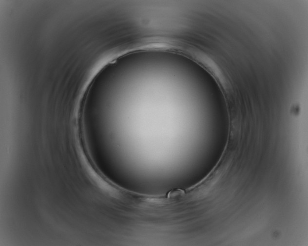 X0000101141483200807071114