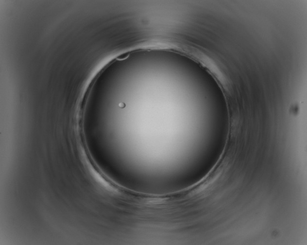 X0000101141484200807071114