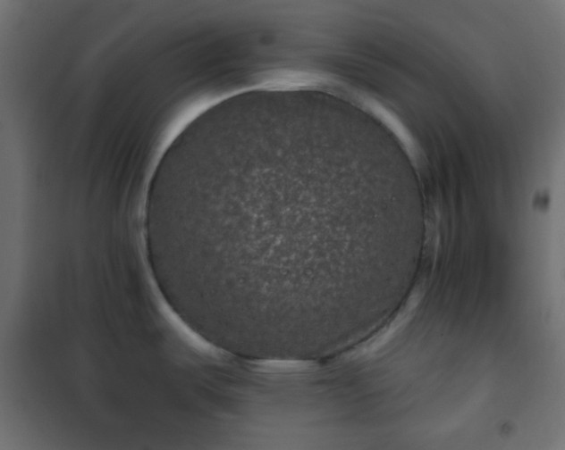 X0000101141487200807071114