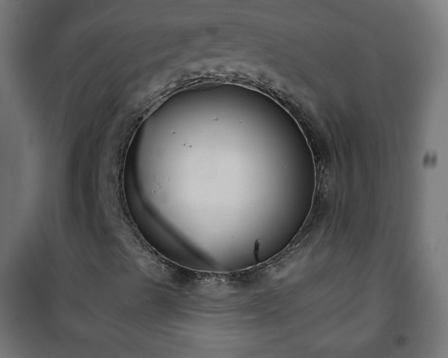 X0000101141489200807071113