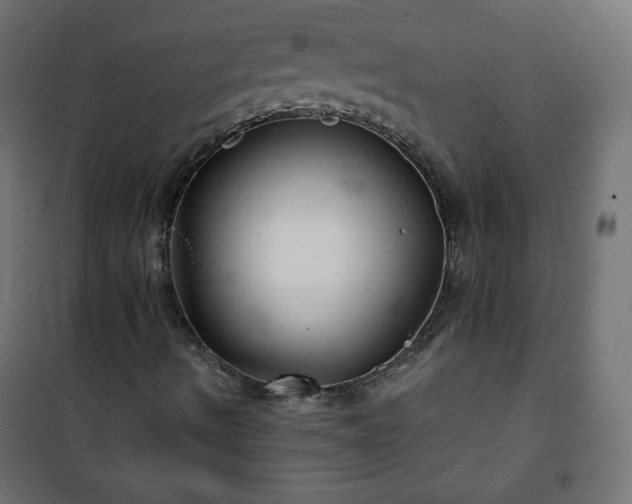 X0000101141490200807071113